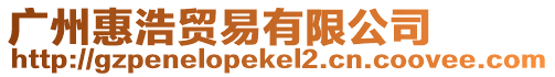 廣州惠浩貿易有限公司