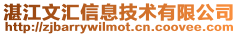 湛江文匯信息技術有限公司