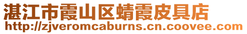 湛江市霞山區蜻霞皮具店