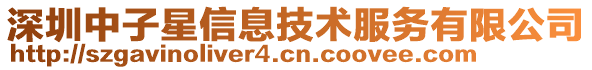 深圳中子星信息技術(shù)服務(wù)有限公司