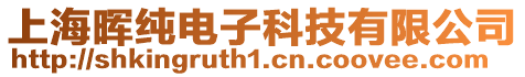 上海暉純電子科技有限公司
