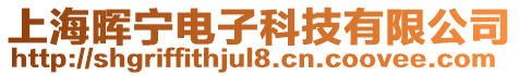 上海暉寧電子科技有限公司
