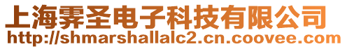 上海霽圣電子科技有限公司