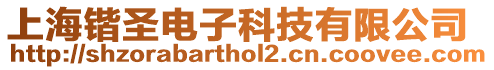 上海鍇圣電子科技有限公司