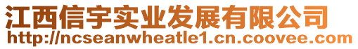 江西信宇實業發展有限公司