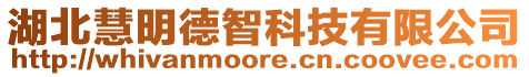 湖北慧明德智科技有限公司