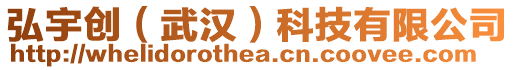 弘宇創(chuàng)（武漢）科技有限公司