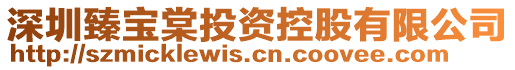 深圳臻寶棠投資控股有限公司