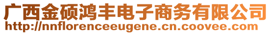 廣西金碩鴻豐電子商務(wù)有限公司