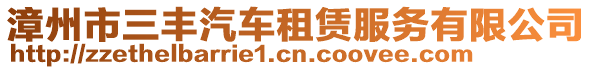 漳州市三豐汽車租賃服務有限公司