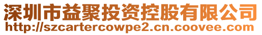 深圳市益聚投資控股有限公司