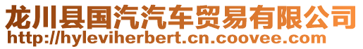 龍川縣國(guó)汽汽車(chē)貿(mào)易有限公司