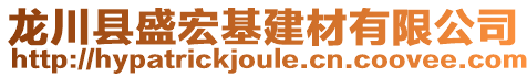 龍川縣盛宏基建材有限公司