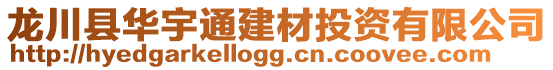 龍川縣華宇通建材投資有限公司