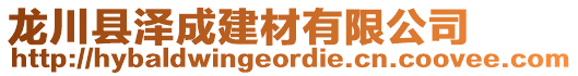 龍川縣澤成建材有限公司