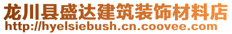 龍川縣盛達建筑裝飾材料店