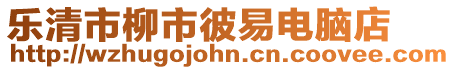 樂清市柳市彼易電腦店