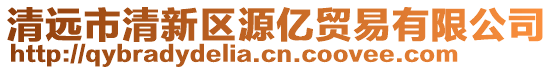 清远市清新区源亿贸易有限公司