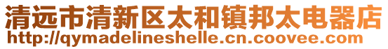 清遠市清新區太和鎮邦太電器店