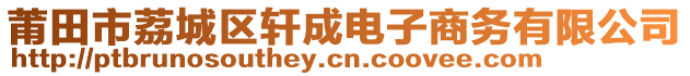 莆田市荔城區(qū)軒成電子商務(wù)有限公司