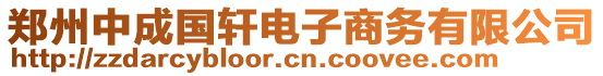 鄭州中成國(guó)軒電子商務(wù)有限公司