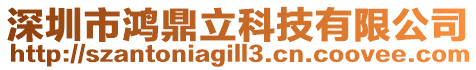 深圳市鸿鼎立科技有限公司