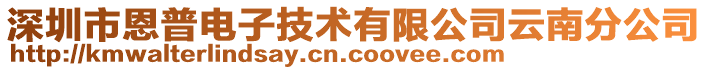 深圳市恩普電子技術(shù)有限公司云南分公司