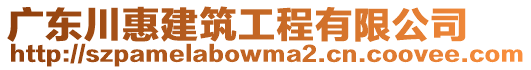 廣東川惠建筑工程有限公司