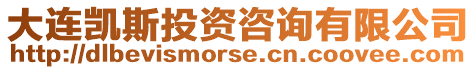 大連凱斯投資咨詢有限公司