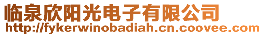 臨泉欣陽光電子有限公司