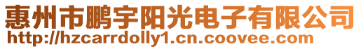 惠州市鵬宇陽光電子有限公司