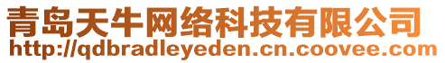 青島天牛網(wǎng)絡(luò)科技有限公司