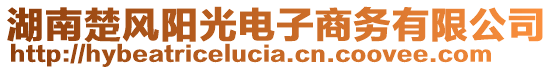 湖南楚風(fēng)陽光電子商務(wù)有限公司