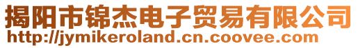 揭陽市錦杰電子貿易有限公司
