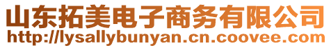 山東拓美電子商務有限公司