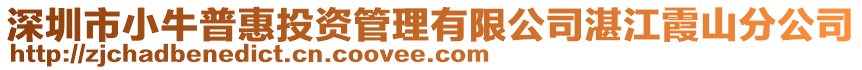 深圳市小牛普惠投資管理有限公司湛江霞山分公司