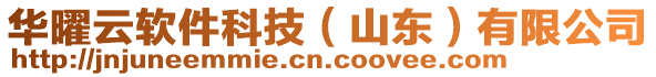 華曜云軟件科技（山東）有限公司