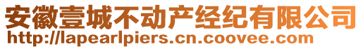 安徽壹城不動(dòng)產(chǎn)經(jīng)紀(jì)有限公司