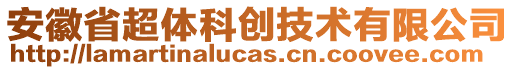 安徽省超體科創技術有限公司