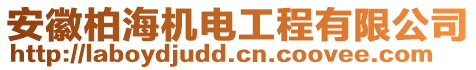 安徽柏海機電工程有限公司