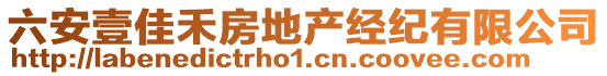 六安壹佳禾房地產(chǎn)經(jīng)紀(jì)有限公司