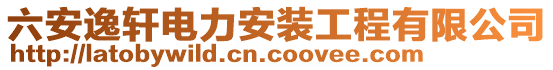 六安逸軒電力安裝工程有限公司