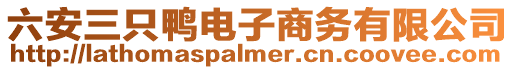 六安三只鴨電子商務(wù)有限公司