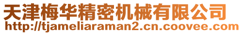 天津梅華精密機械有限公司