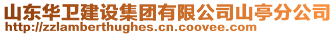山東華衛建設集團有限公司山亭分公司