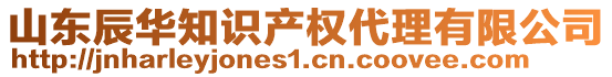 山東辰華知識產(chǎn)權(quán)代理有限公司