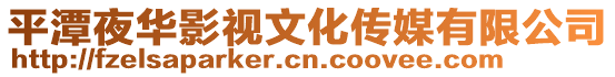 平潭夜華影視文化傳媒有限公司