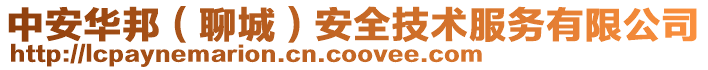 中安華邦(聊城)安全技術服務有限公司