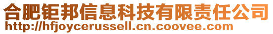 合肥鉅邦信息科技有限責(zé)任公司