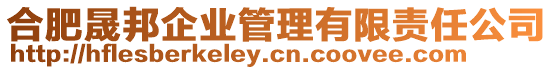 合肥晟邦企業(yè)管理有限責(zé)任公司
